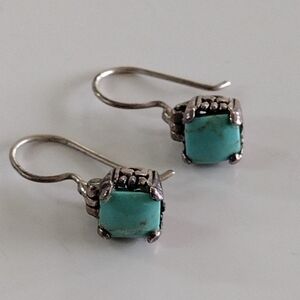 Elegant Turquoise Hinge Silver Earrings